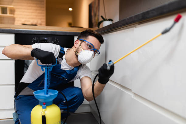 Best Emergency Pest Control  in Matthews, NC