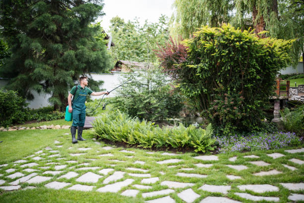 Best Pest Removal Services  in Matthews, NC