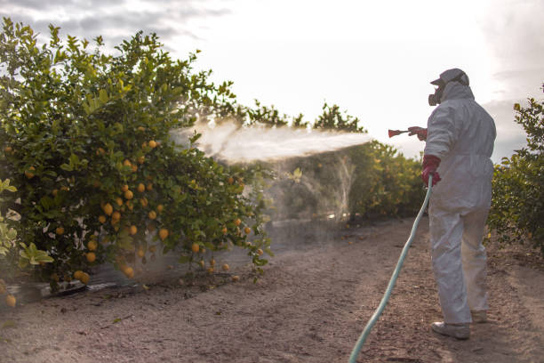 Best Pest Control Near Me  in Matthews, NC