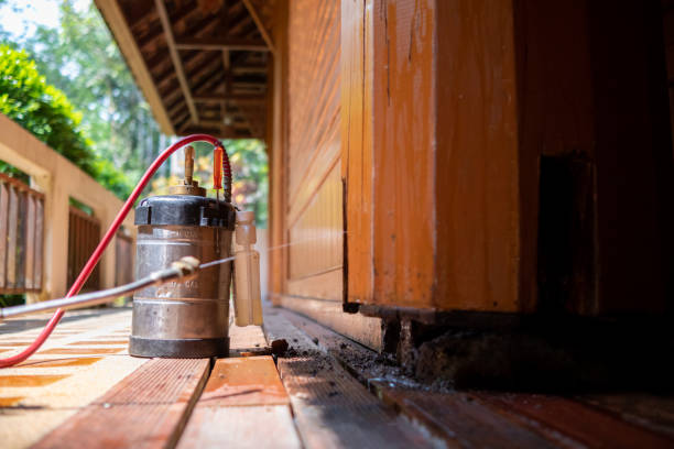 Best Pest Control Cost  in Matthews, NC