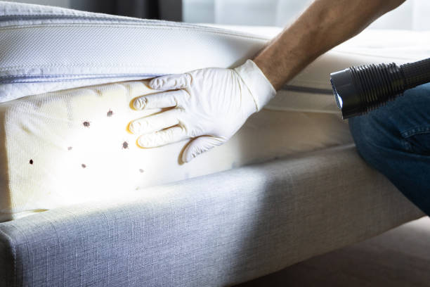 Best Pest Control Cost  in Matthews, NC