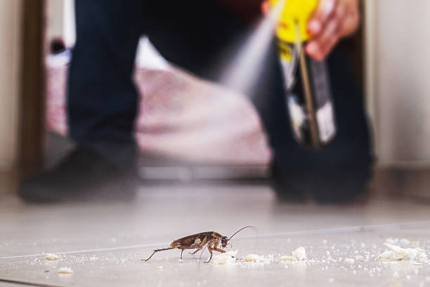 Best Pest Control for Homes  in Matthews, NC