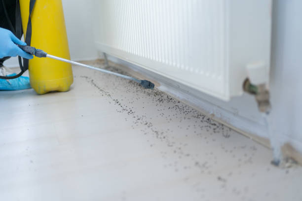 Best Wildlife Control Services  in Matthews, NC