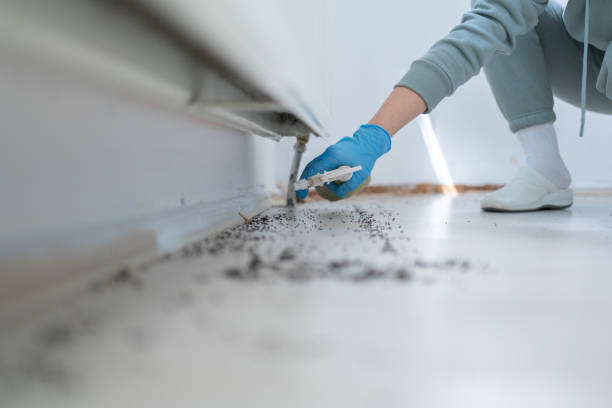 Best Pest Prevention Services  in Matthews, NC